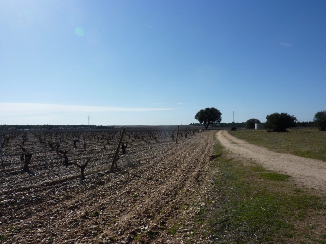 Nava del Rey Valladolid